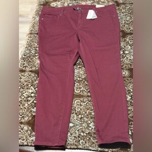 Lane Bryant Petite Pants – Size 14P – New With Tags